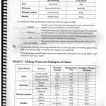 Periodic Trends Gizmo Answer Key Pdf Periodic Table Worksheet Answer In Periodic Trends Worksheet Answer Key