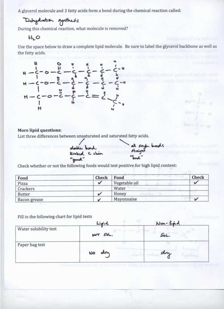 Ph Acids And Bases Worksheet Answers / Worksheet. Conjugate Acid Base Pairs Worksheet. Grass Intended For Acid And Bases Worksheet Answers