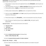 Photosynthesis And Cellular Respiration Pogil Answer Key With Photosynthesis Worksheet Answer Key