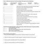 Photosynthesis And Cellular Respiration Worksheet Key – Kids Activities Throughout Cellular Respiration Review Worksheet