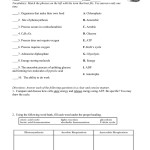 Photosynthesis & Cellular Respiration Worksheet regarding Photosynthesis And Cellular Respiration Worksheet