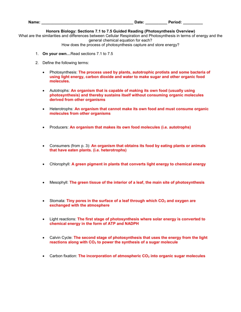 Photosynthesis Worksheet Answer Key in Photosynthesis Worksheet Answer Key