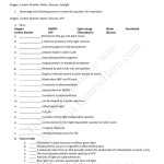 Photosynthesis Worksheet Answer Key – Organicled For Photosynthesis Worksheet Answer Key