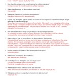 Photosynthesis Worksheet Answers — Db Excel Throughout Photosynthesis Worksheet Answer Key