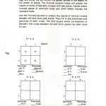 Photosynthesis Worksheet High School Cramerforcongress — Db Excel Regarding Photosynthesis Worksheet High School