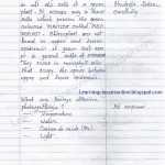 Photosynthesis Worksheet Middle School Throughout Photosynthesis Worksheet Middle School