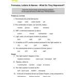 Photosynthesis Worksheets For Middle School – Worksheets Master Pertaining To Photosynthesis Worksheet Middle School