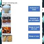 Physical And Chemical Changes Science Worksheet Inside Chemical And Physical Changes Worksheet