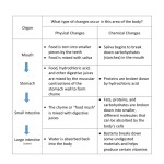 Physical Vs Chemical Changes Worksheet Within Chemical And Physical Change Worksheet