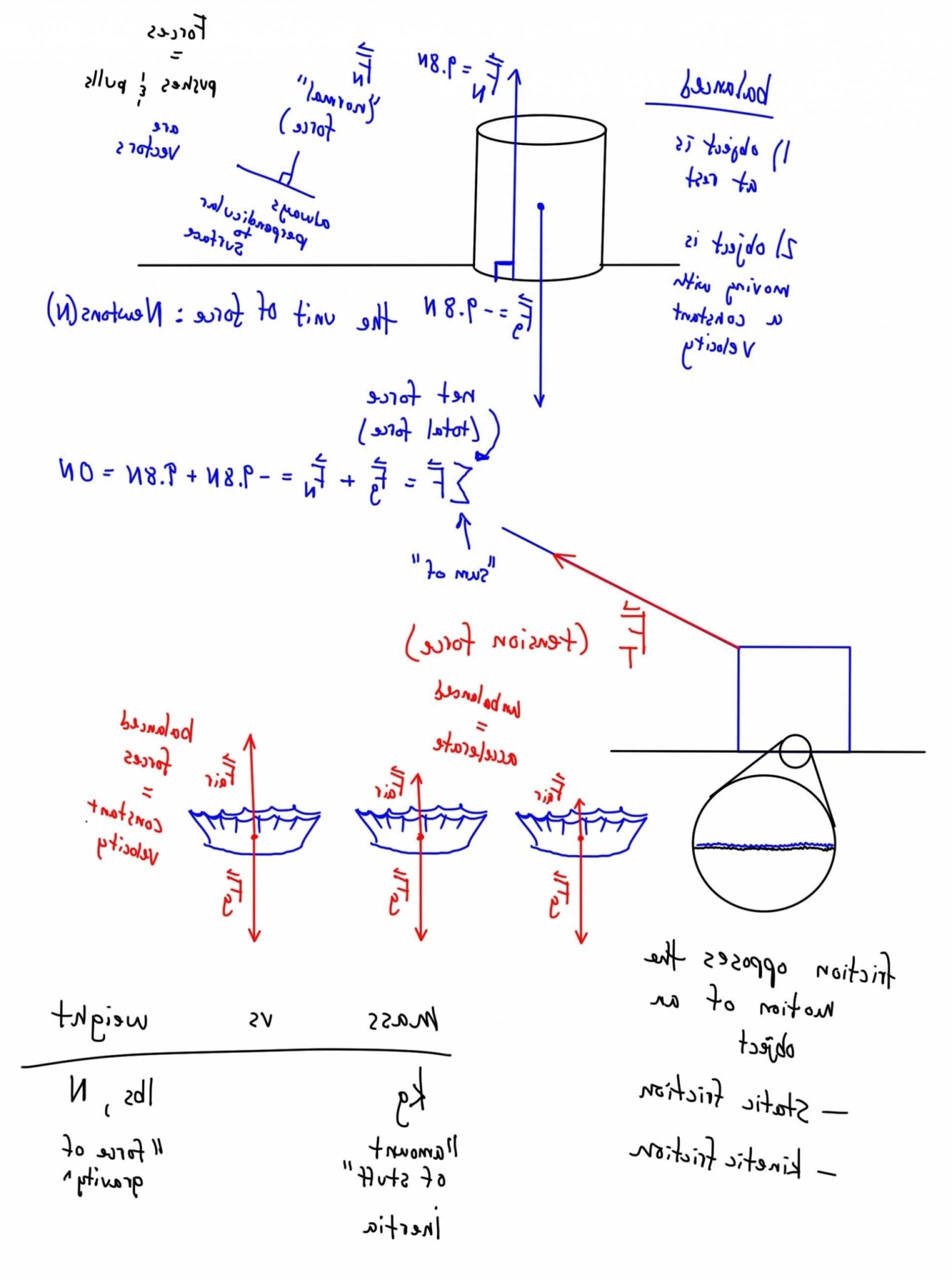 Physics Classroom Free Body Diagrams Answers Inspirational — Db Excel Regarding Free Body Diagram Worksheet Answers