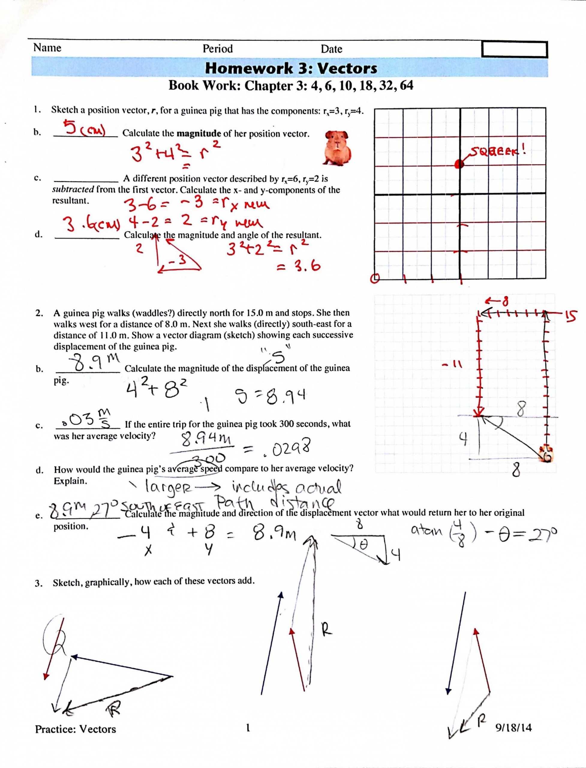 Physics Vector Worksheet At Vectorified | Collection Of Physics with Vectors Worksheet With Answers