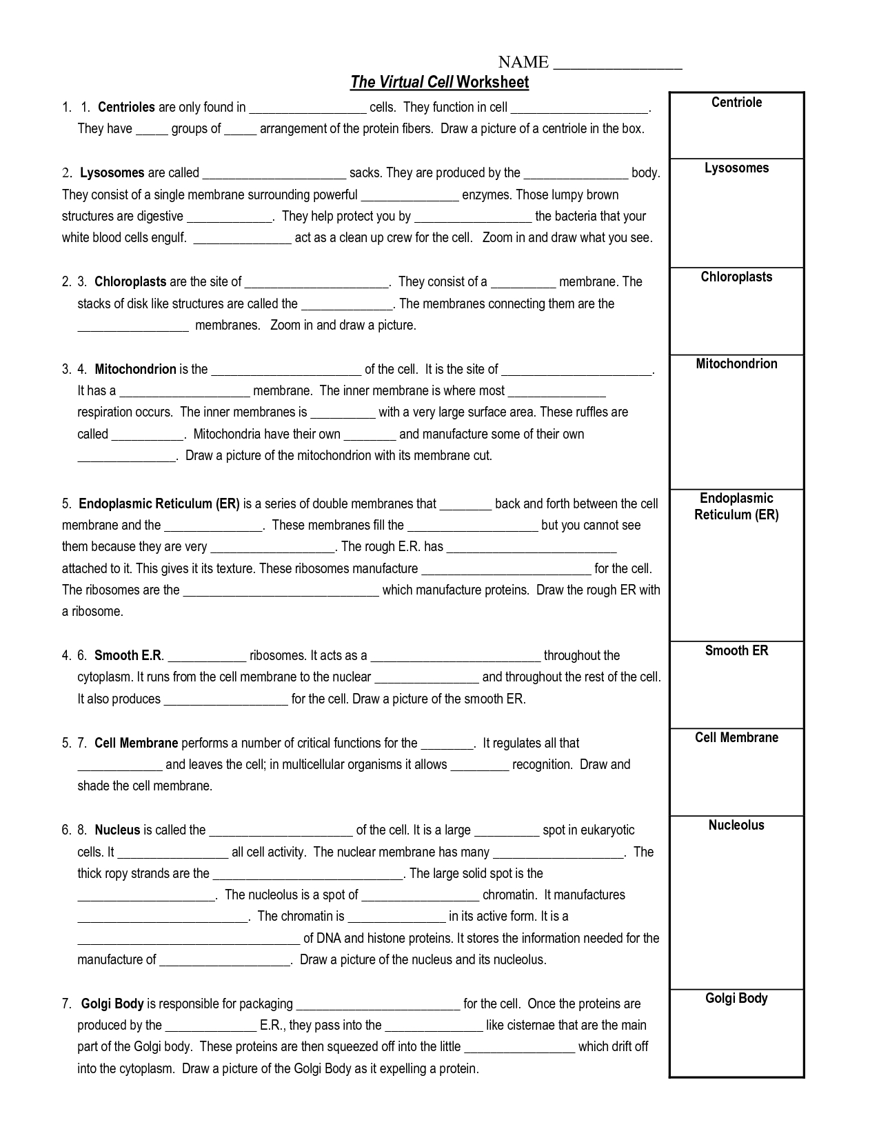 Piecewise Functions Worksheet With Answer Key Printable Worksheets And Intended For Worksheet Piecewise Functions Answer Key