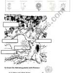 Plants & Tree Parts Activity – Esl Worksheet By Jjaviergarci With Regard To Parts Of A Tree Worksheet