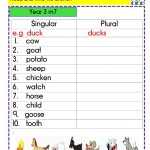 Plural Nouns Worksheets For Grade 2 K5 Learning - Printable Plural for Singular And Plural Nouns Worksheet