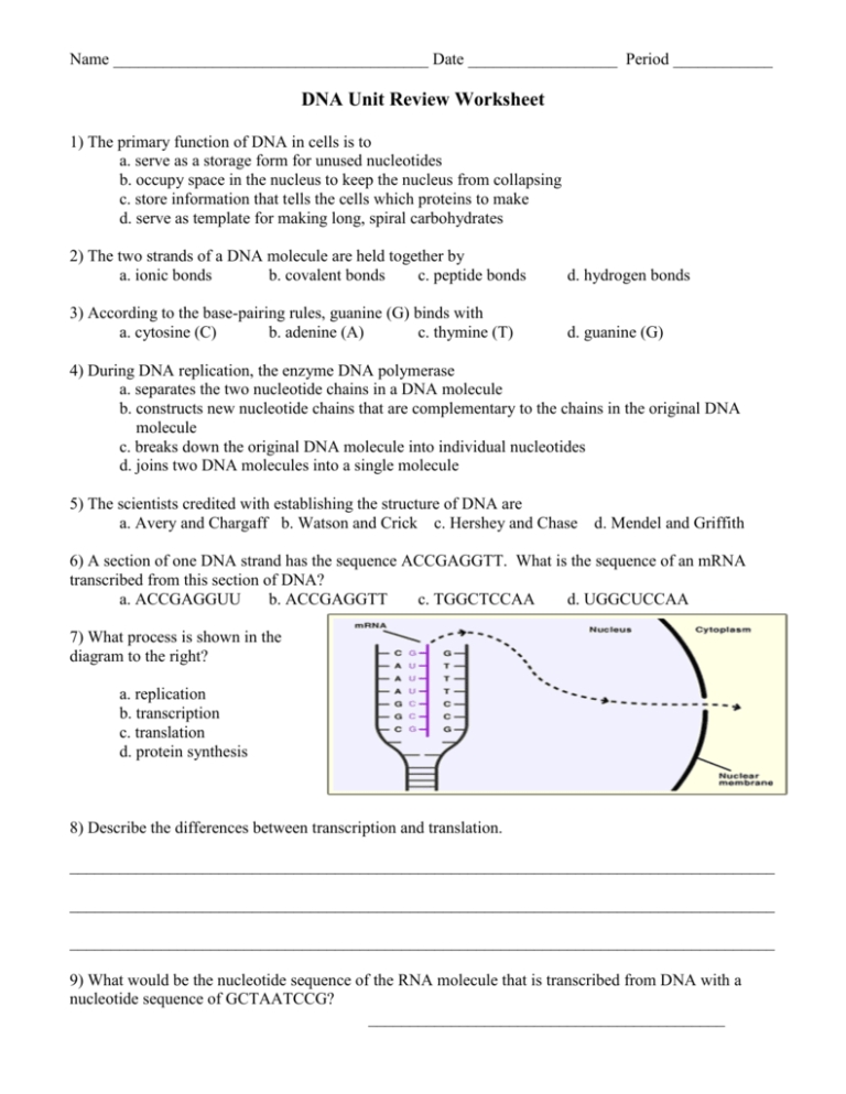 Practice Dna Structure And Replication Worksheet Answers : Inspirational Structure Of Dna And with Dna Replication Worksheet Answers