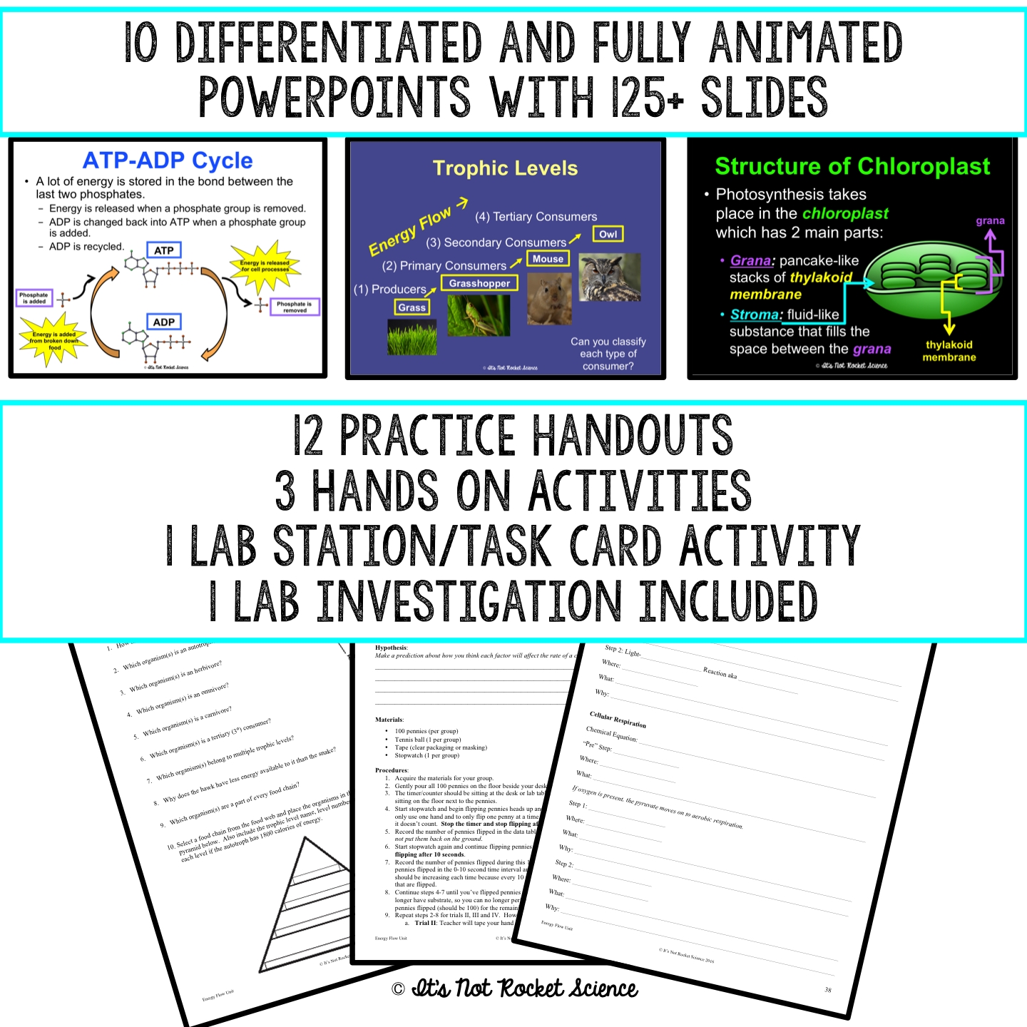 Practice Energy Flow 1 Worksheet Answers It'S Not Rocket Science With Regard To Energy Flow Worksheet Answers