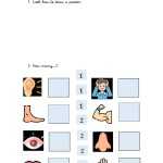 Preschool My Body Worksheet with Inside The Living Body Worksheet