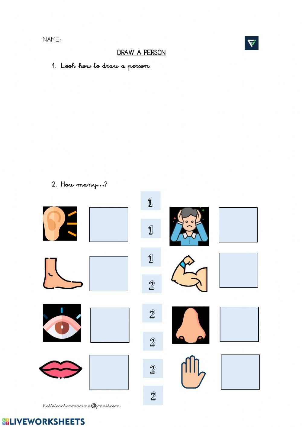 Preschool My Body Worksheet with Inside The Living Body Worksheet