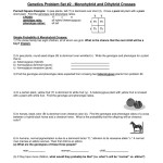 Problem Set 2 Dihybrid Crosses Answers » Eutonie Answer Key For Worksheet Guide With Genetics Practice Problem Worksheet