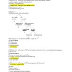 Prokaryotes Bacteria Worksheet Answers – Worksheet List Within Prokaryotes Bacteria Worksheet Answers