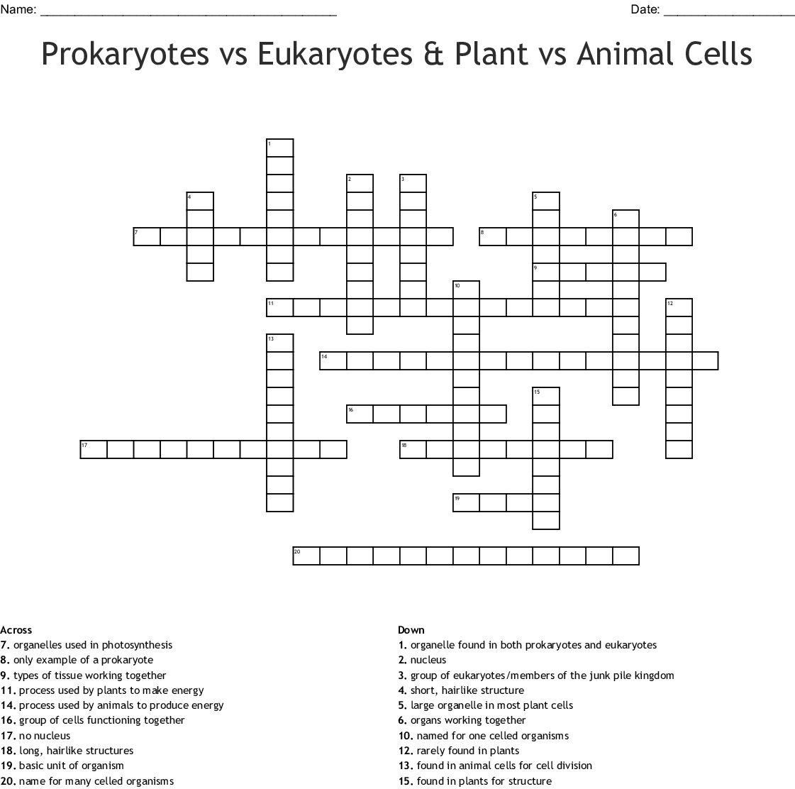 Prokaryotes Vs Eukaryotes Plant Vs Animal Cells Crossword — Db Excel Pertaining To Prokaryotes Vs Eukaryotes Worksheet