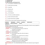 Prokaryotes Vs Eukaryotes Worksheet – Word Worksheet Regarding Prokaryotes And Eukaryotes Worksheet