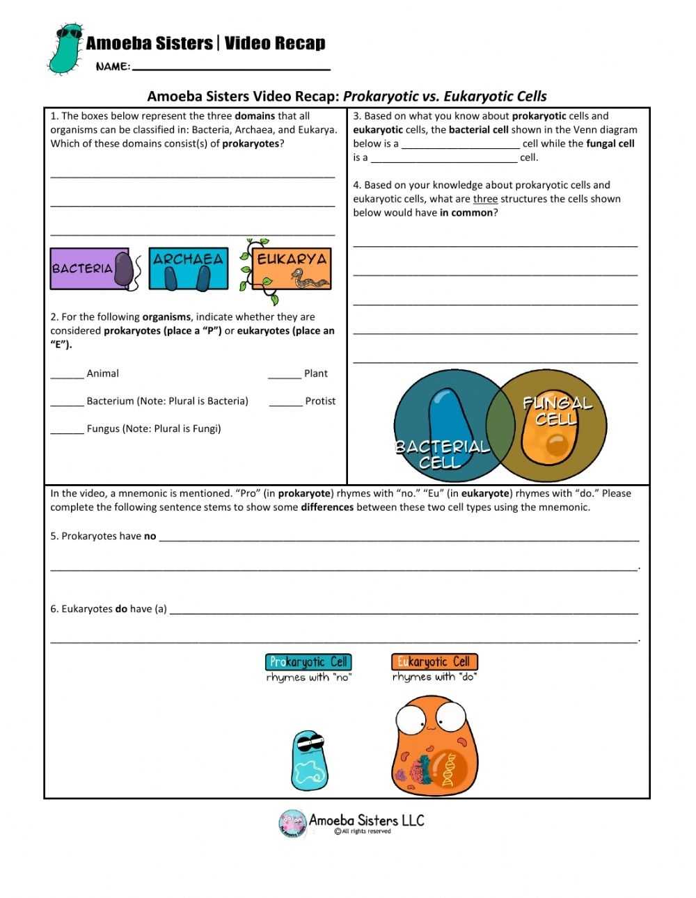 Prokaryotic And Eukaryotic Cells Worksheet with Prokaryotes And Eukaryotes Worksheet