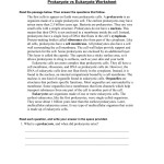 Prokaryotic Vs Eukaryotic Cells Worksheets regarding Prokaryote Vs Eukaryote Worksheet