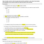 Protein Synthesis Practice Worksheet With Protein Synthesis Practice Worksheet