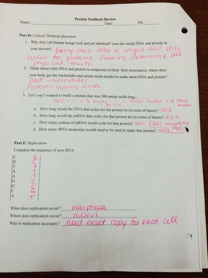 Protein Synthesis Worksheet Answer Key Part A — Db-Excel with Protein Synthesis Review Worksheet Answers