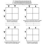 Punnett Square Worksheet Answer Key — Villardigital Library For Education Within Punnett Square Practice Worksheet Answers