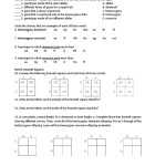 Punnett Square Worksheet Dihybrid within Monohybrid Crosses Worksheet Answers