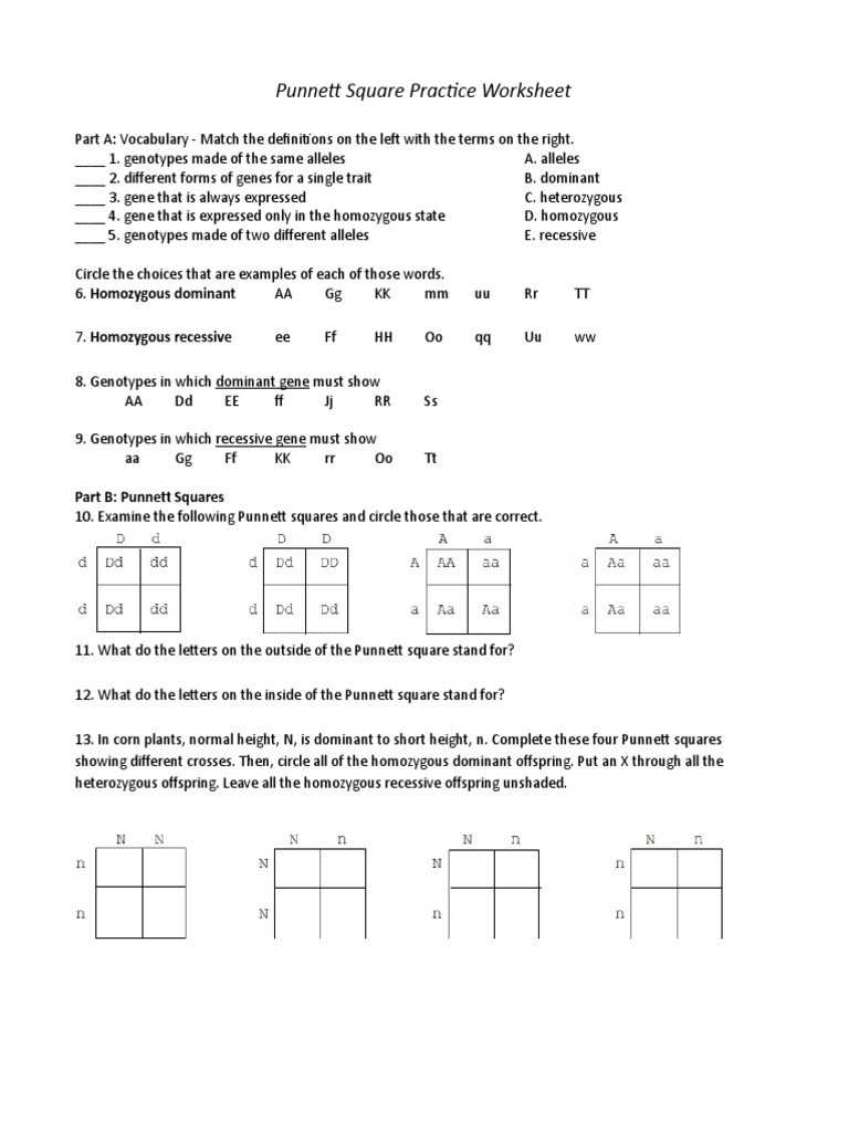 Punnett Square Worksheet Dihybrid within Monohybrid Crosses Worksheet Answers