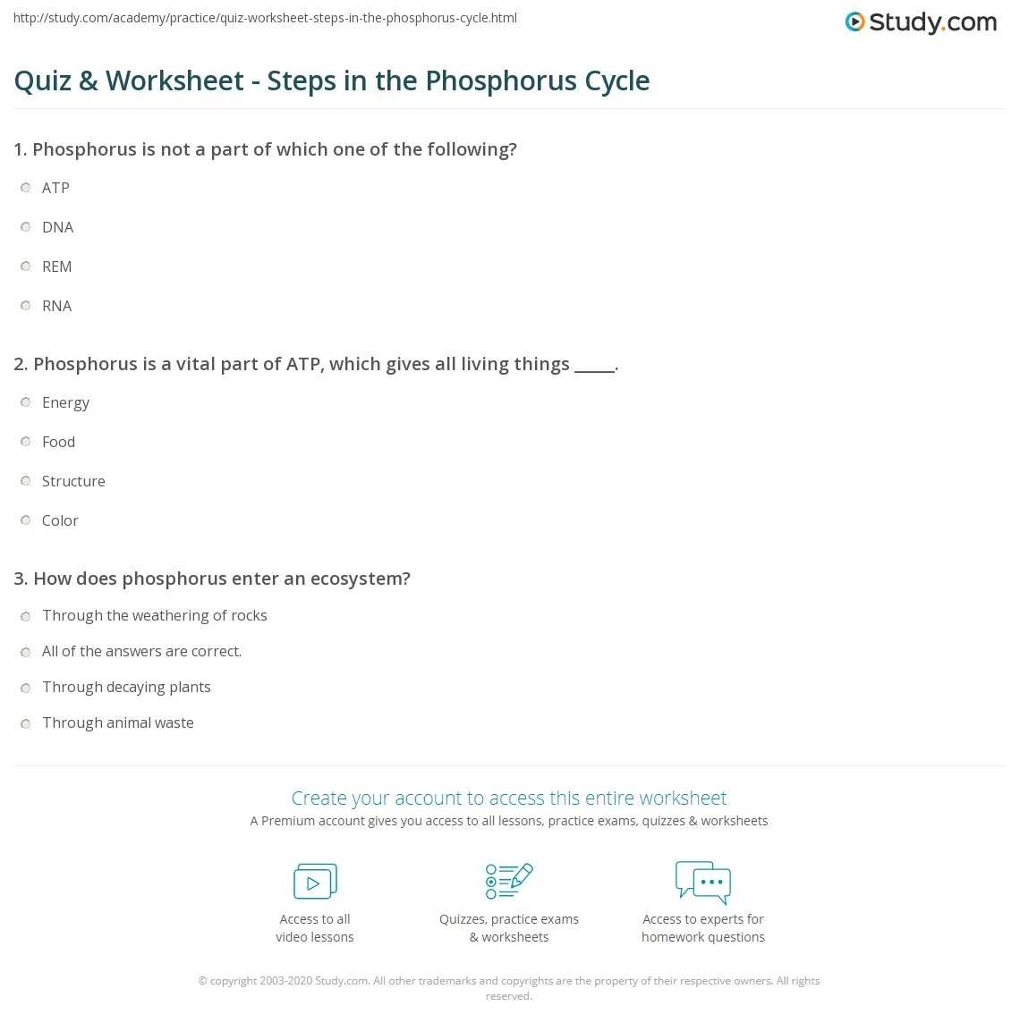 Quiz &amp; Worksheet - Steps In The Phosphorus Cycle | Study in The Carbon Cycle Worksheet Answers