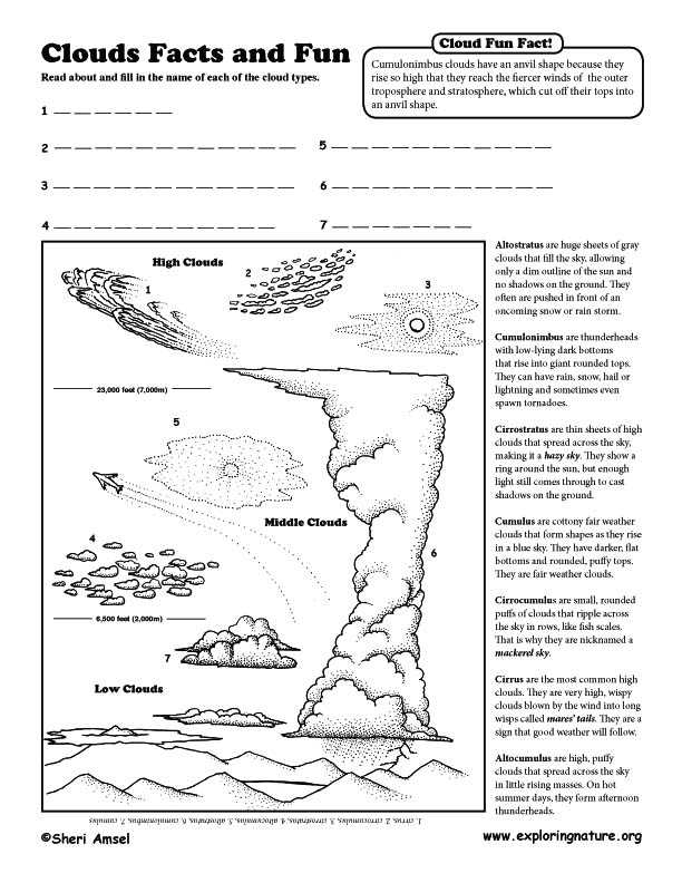Rain And Clouds Worksheet / Types Of Clouds Worksheets - Itsybitsyfun / The Weather Is inside Types Of Clouds Worksheet