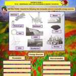 Renewable And Non Renewable Energy Sources Worksheet Throughout Renewable And Nonrenewable Resources Worksheet