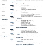 Resume Worksheet For High School Students — Db Excel Throughout Resume Worksheet For Adults