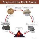Rock Cycle – Definition, Steps, Importance, Diagram In The Rock Cycle Worksheet