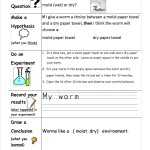Scientific Method | First Grade Shenanigans pertaining to Scientific Method Steps Worksheet