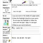 Scientific Method | First Grade Shenanigans throughout The Scientific Method Worksheet