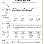 Scientific Method Review Worksheet Middle School Worksheet : Resume In Scientific Method Worksheet Pdf