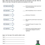 Scientific Method Worksheet — Db Excel For Scientific Method Worksheet Middle School