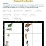 Senior Secondary Biology: Animal Kingdom 1 Worksheet Throughout Animal Classification Worksheet Pdf