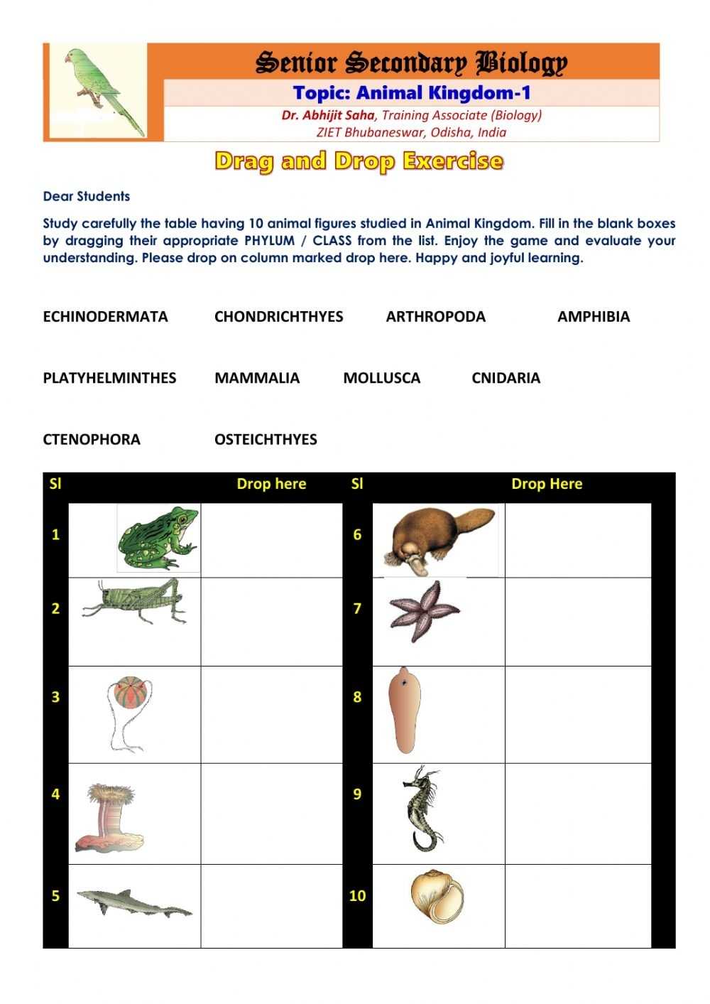 Senior Secondary Biology: Animal Kingdom 1 Worksheet Throughout Animal Classification Worksheet Pdf