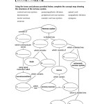 Skills Worksheet Concept Mapping Answers Holt Biology Inside Skills Worksheet Concept Mapping