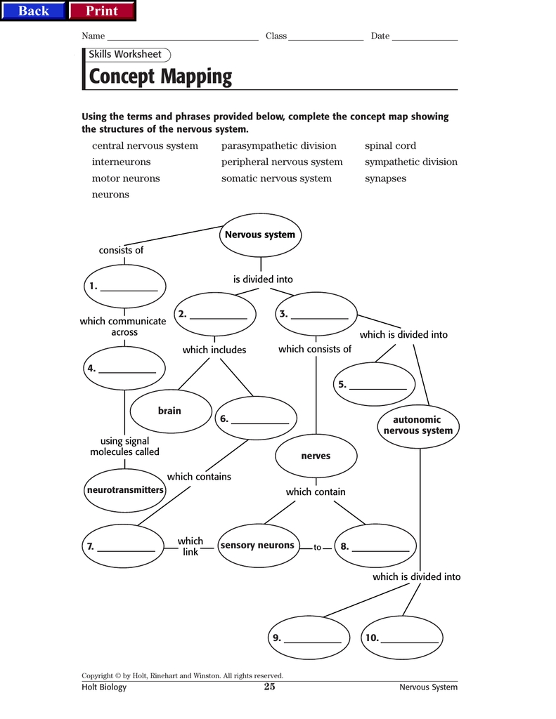 Skills Worksheet Concept Mapping Answers Holt Biology Inside Skills Worksheet Concept Mapping