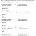 Solubility And Net Ionic Equations Worksheet - Equations Worksheets inside Net Ionic Equations Worksheet
