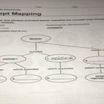 (Solved) – Class Hw 3.29 Skills Worksheet Concept Mapping Concept Map Regarding Skills Worksheet Concept Mapping