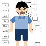 Spanish Body Parts Worksheet Throughout Spanish Body Parts Worksheet