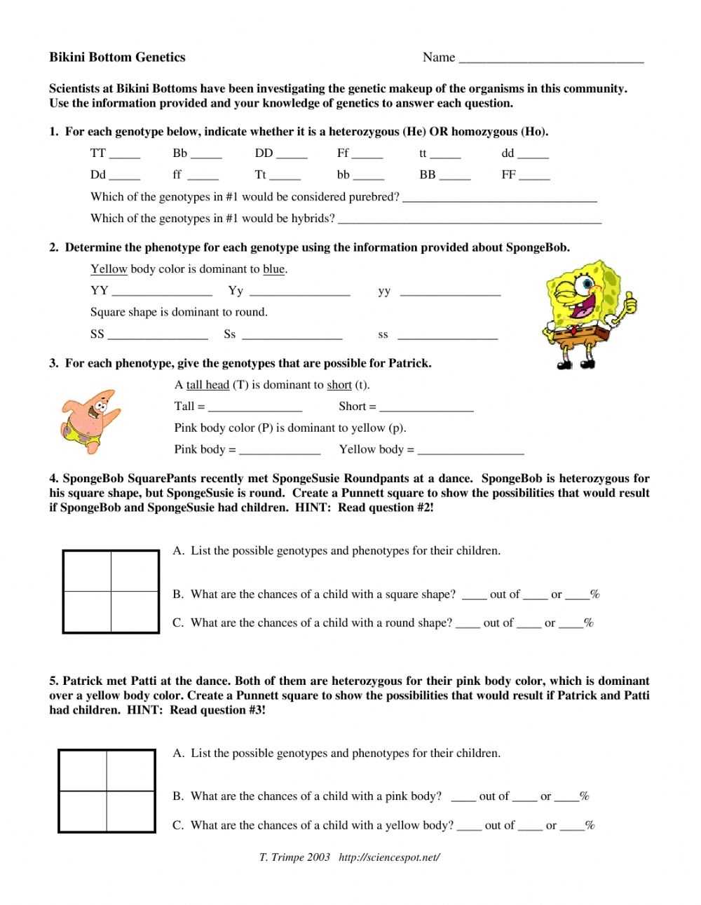 Sponge Bob Genetics Punnett Square Practice Worksheet with Punnett Square Practice Worksheet